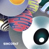 Pulsacions (Nick Warren Remix) cover art