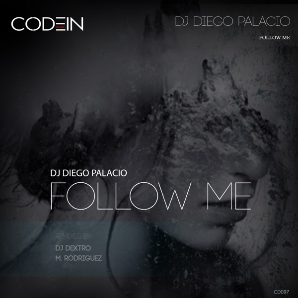 Follow Me - Single