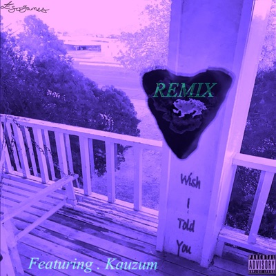 Wish I Told You (feat. Kauzum) [Remix] - Single