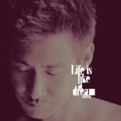Life Is Like a Dream artwork