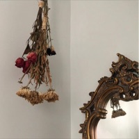 Cheshire - Single - teddybear & Cian P