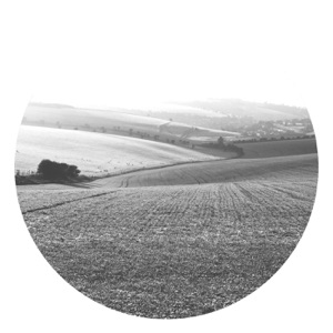 Moonbow Remixes - Single