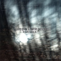 On Really Wether All...? - Single - David Divine & Dmitriy Chusov
