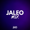 Jaleo Mix - Single