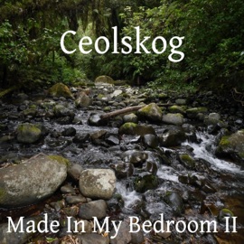 The Incy Wincy Spider Ceolskog