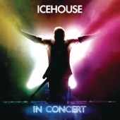 Icehouse In Concert artwork