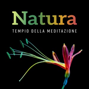 Natura: Tempio della meditazione - Equilibrio interiore, Sollievo dallo stress e rilassamento, Yoga spirituale
