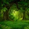Lost Woods (Ambient Version) - Laura Sullivan lyrics