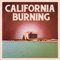DeWolff - California Burning