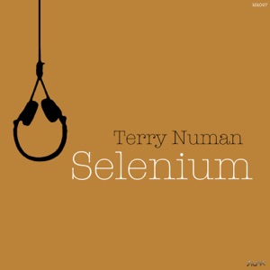 Selenium - Single