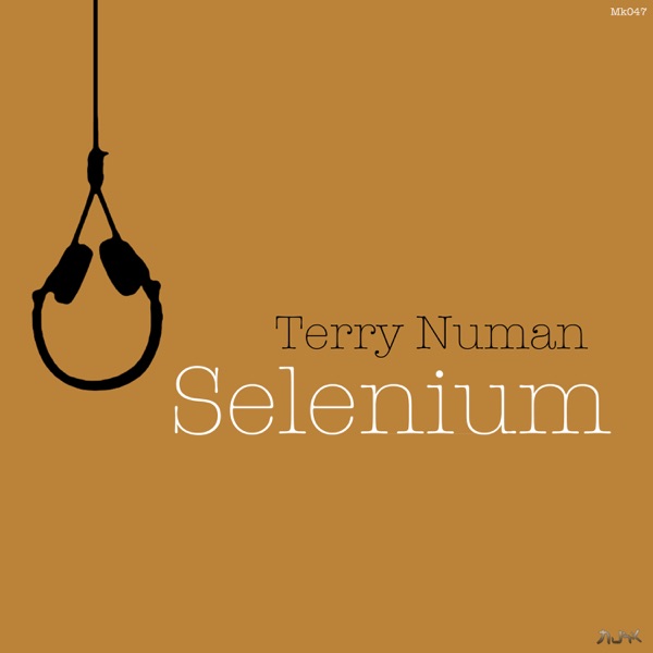 Selenium - Single