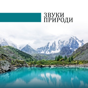 Звуки природи: Вода та спів птахів, Душевний спокій, Гармонія, Музика антистрес, Ментальне здоров'я, Спа, Поліпшення сну, Глибокий Релакс