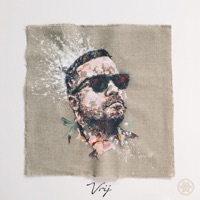 Vrij - Dicecream