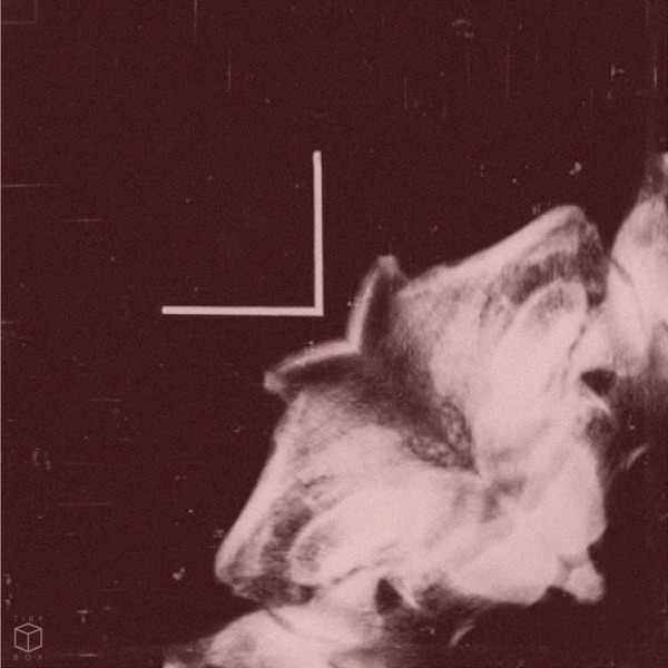 Anomalies - Single
