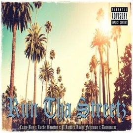 Run Tha Streetz (feat. Dominator, P.Luvv, Lucha Fehrmon & Lorde Sanctus) Crazy Boy.