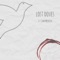 Lost Doves (feat. Cam Meekins) - Trent Stark lyrics
