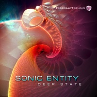 Deep State - Single - Sonic Entity