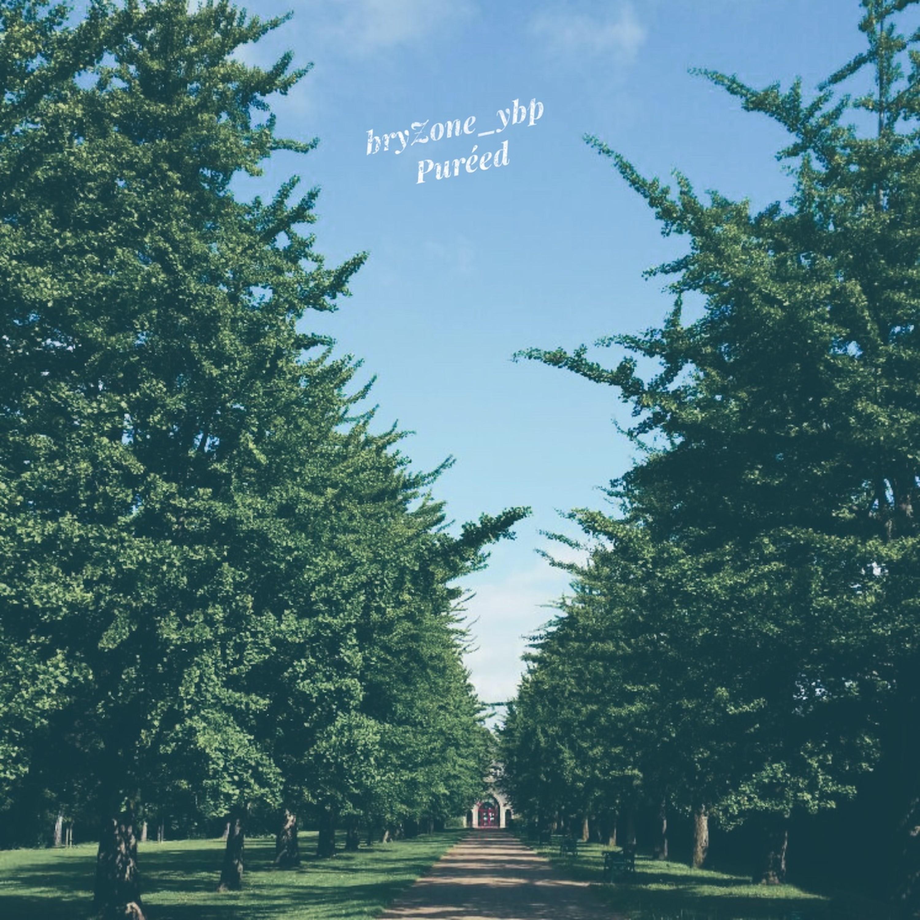 Pureed