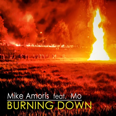 Burning Down (feat. Mo) - Single