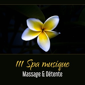 111 Spa musique: Massage & détente - Méditation anti stress, relaxation profonde, sommeil et dormir bien, yoga, zen sophrologie