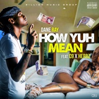 How Yuh Mean (feat. C9 & Herbz) - Single - Dane Ray