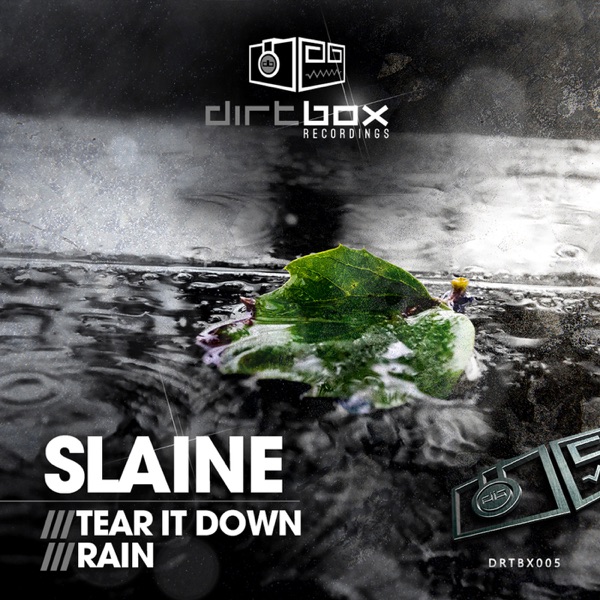 Tear It Down / Rain - Single