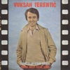 Vuksan Terentic - Vidjas li Je Stari Druze