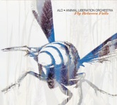 ALO (Animal Liberation Orchestra) - Wasting Time