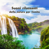 Uccelli mattini - Zona Pura Di Suoni Naturali