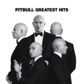 Pitbull - Hotel Room Service