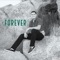 Forever - Zachary Johnson lyrics