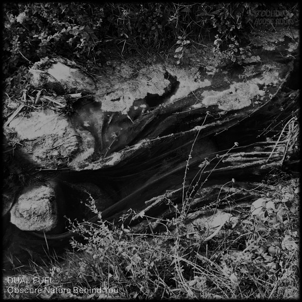 Obscure Nature Behind You - EP