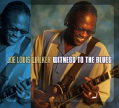 Witness To the Blues artwork