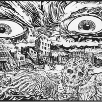 Perfect Angels/Grounded Single - Single - Salty