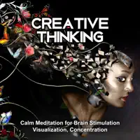 Brain Stimulation — Brain Stimulation Music Collective