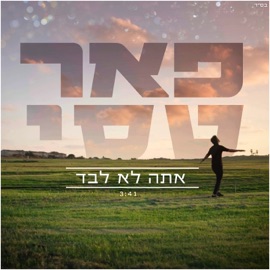 אתה לא לבד Peer Tasi