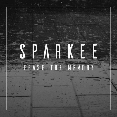Erase the Memory - Single