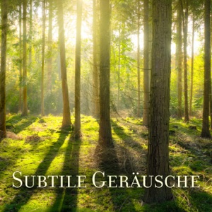Subtile Geräusche - Beste Geräusche der Natur, Musik wundersam, Fantastische Stimmung, Ruhe und Entspannung, Ruhe und Moment der Vergessenheit