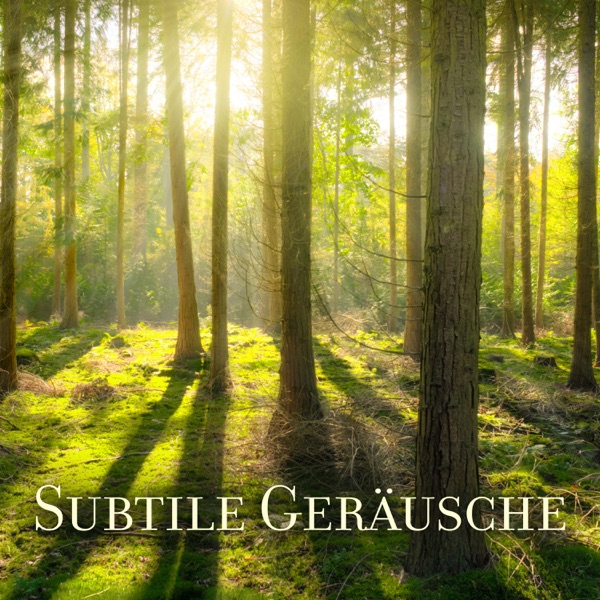 Subtile Geräusche - Beste Geräusche der Natur, Musik wundersam, Fantastische Stimmung, Ruhe und Entspannung, Ruhe und Moment der Vergessenheit