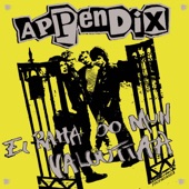 Appendix - Ei Raha Oo Mun Valuuttaa