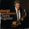 Here & Gone - David Sanborn