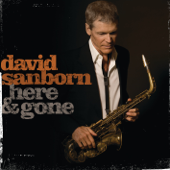 I'm Gonna Move to the Outskirts of Town (feat. Eric Clapton) - David Sanborn Cover Art