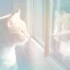 Poemme - The Gentle Warmth of Morning