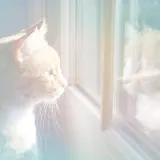 Poemme - Last Dream Before Sunrise