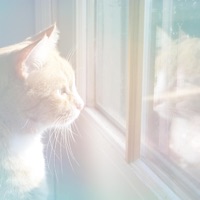 Poemme - The Gentle Warmth of Morning