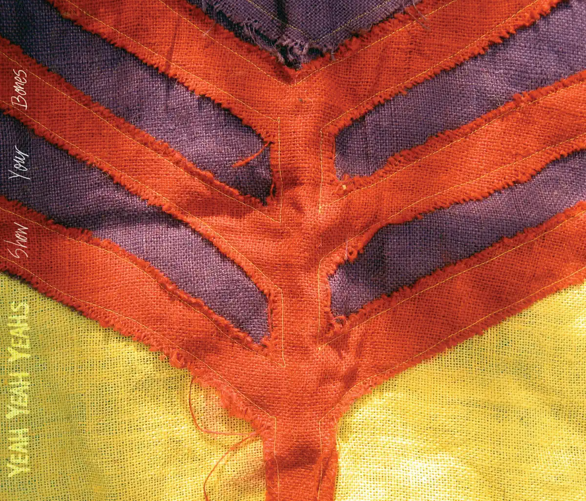 Yeah Yeah Yeahs - Show Your Bones (2003) [iTunes Plus AAC M4A]-新房子