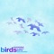 Birds (feat. JR Aquino) - POWMINDSET lyrics
