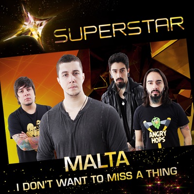 I Don't Want To Miss a Thing (Superstar) - Single