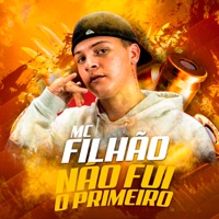 Não Fui o Primeiro - Single - MC Filhão