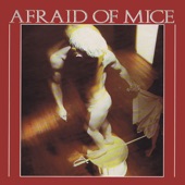 Afraid of Mice